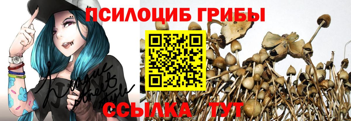 Галлюциногенные грибы Cubensis  Вход с VPN  Урай  Галлюциногенные грибы Cubensis 
